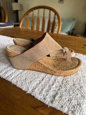 Donald Pliner Metallic Cork Slide Sandals with Toe Loop